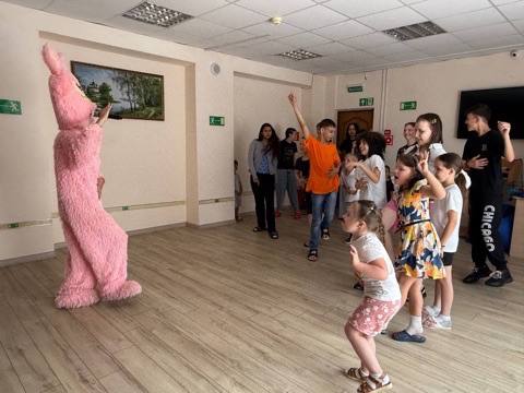 Отчеты